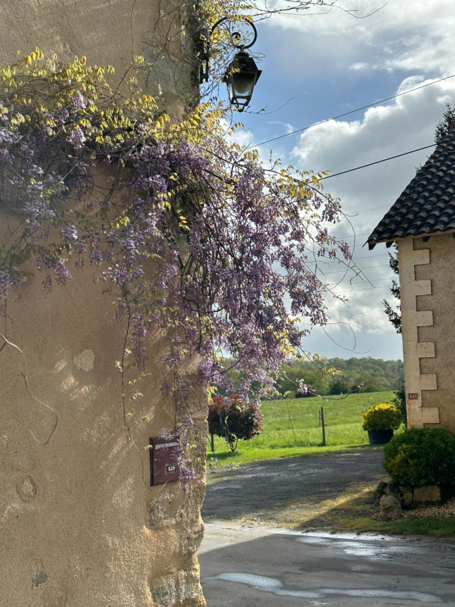 Le Chatenet 1689 Brantome Luaran gambar