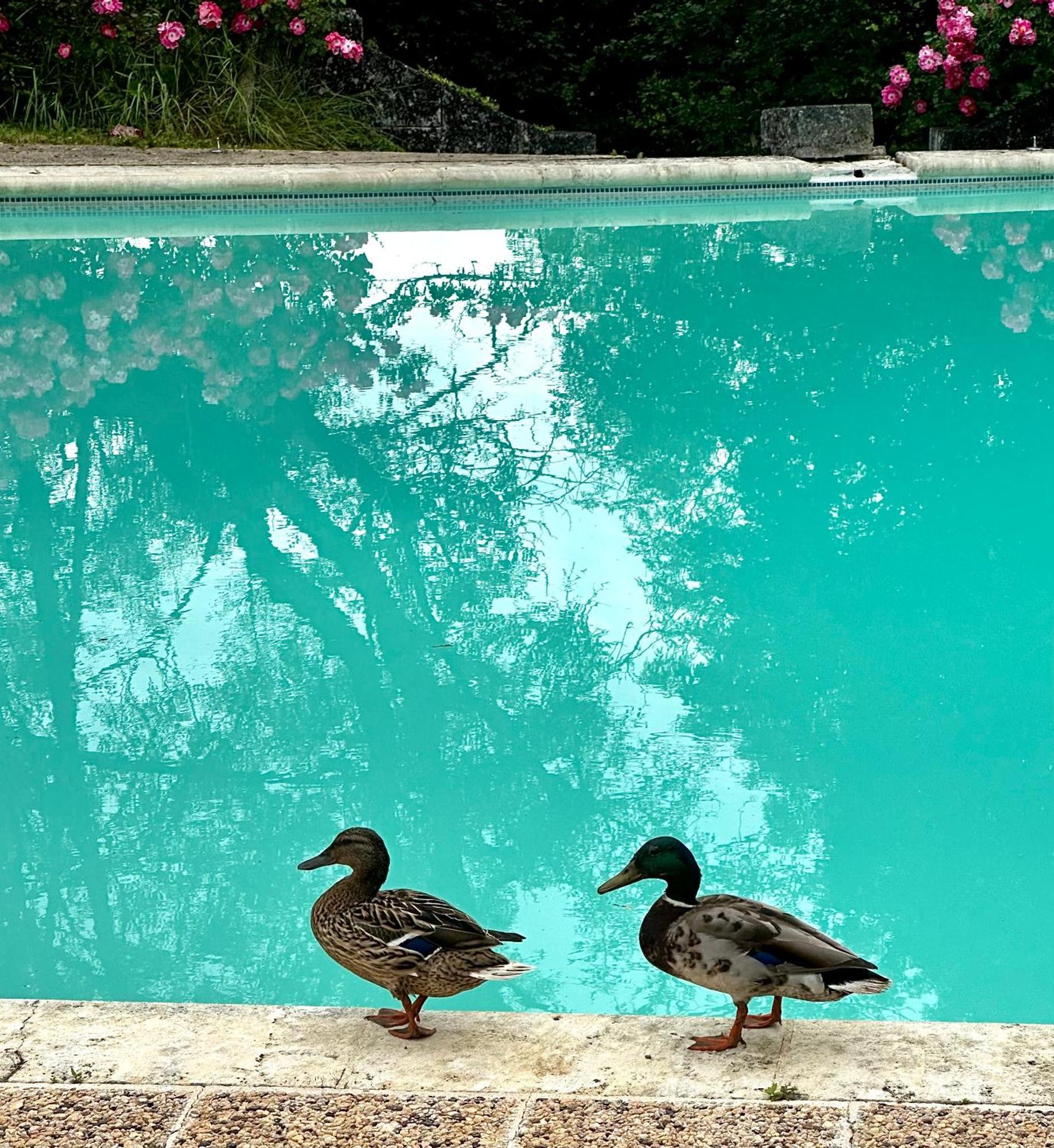 Le Chatenet 1689 Brantome Luaran gambar